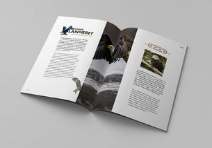 平面書裝設(shè)計的藝術(shù)與實(shí)踐——以站酷ID 915694981為例